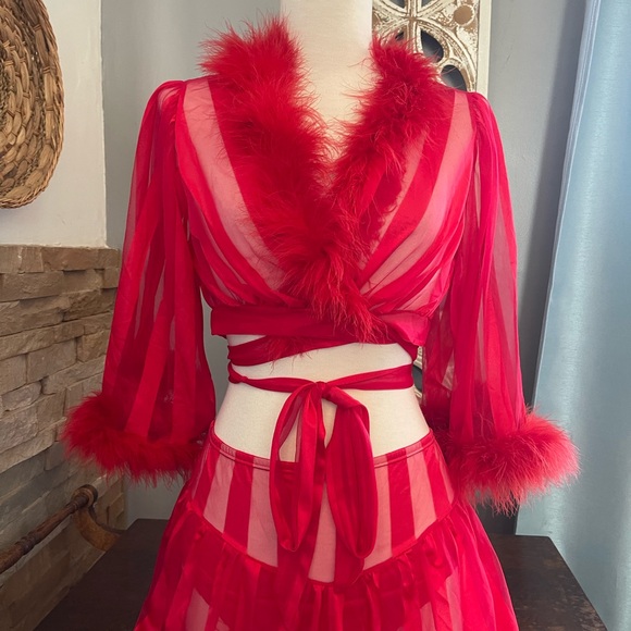 Vintage Jenelle Red Sheer Lingerie Set - Picture 2 of 11